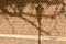 View of a multi hued reddish brown vintage brick wall texture with tree shadows