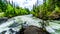 View of Murtle River during high snow melt, in Wells Gray Provincial Park, BC, Canada