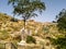 View of a Muslim graveyard typical of North African countries with a local marabout Muslim saint grave house shrine built in the m