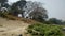 A view of mymensingh park in dry season