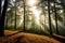 view on mystic trees in black forest, germany made with Generative AI