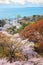 View from Nagahama Castle in Shiga, Japan