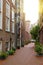 View of narrow street in Amsterdam. Historical, traditional and typical buildings and many plants are in the view. It is a sunny