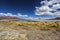 View of the National park of the andean fauna Eduardo Avaroa, with mountains in the background. Bolivia, South America