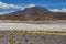 View of the National park of the andean fauna Eduardo Avaroa, with mountains in the background. Bolivia, South America