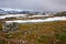 view from national tourist road 55 Sognefjellsvegen in misty weather, Norway