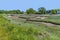 A view of natural drainage channels at low tide beside the River Hamble