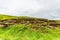 View of a natural limestone fence in ruins in the Burren