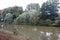 View on a natural riverbank with trees in meppen emsland germany
