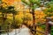 View of natural walking trail along the mountain stream