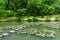 View of the nature park of Terra Nostra, located in Sao Miguel i