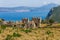 View on Navarino bay from frotress Paleokastro