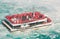 view of Niagara Falls whirlpool with people, tourists on passenger boat floating, going toward the Falls