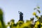 view on niederwald monument statue representing unification of germany in ruedesheim, rhine valley, germany