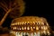 View of the night coliseum and the crown of a huge tree.