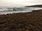 View of Niihau Island from Salt Pond Park on Kauai Island, Hawaii