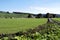 View of the Norber Erratics, from Austwick farmland, Lancaster, England.