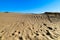 View of nordic sand dunes and Baltic sea at Curonian spit, Nida, Klaipeda, Lithuania