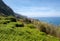 View of the Northern coastline of Madeira,