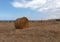 View of Northern Cyprus. The nature of the Mediterranean. A round bale of straw for animal feed. Forage for livestock. Agriculture