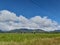 View of the Northern Range from the Caroni Plains, Trinidad