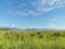 View of the Northern Range from the Caroni Plains, Trinidad
