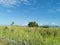 View of the Northern Range from the Caroni Plains, Trinidad