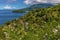 A view northward towards Mount Soufriere in Saint Vincent