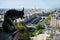 View from Notre Dame de Paris. Stone demon gargoyle with Paris city on background