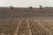 View oÐ° a ploughed fields in spring