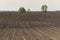 View oÐ° a ploughed fields in spring