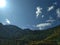 View of Oak and pine trees forest in the hills of Himalayan region of Uttarakhand state of india