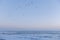 View of the ocean at sunset and a flock of pelicans