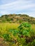 A view of Oeiras` sign at a mountain/viewpoint - Piaui state, Brazil