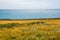 A view offshore from Beacon Hill on the outskirst of Rottingdean, Sussex, UK