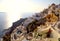 View of Oia and windmills. Santorini, Cyclades, Greece