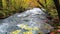 View of Oirase Mountain Stream flow rapidly through the colorful foliage of autumn forest