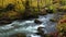 View of Oirase river flow along the Oirase Walking Trail in the colorful forest.