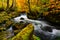 View of Oirase River flow along the Oirase Walking Trail passing the colorful forest of autumn season