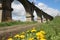 View of an old abandoned viaduct and dandelions under a blue sky with white clouds