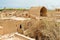 View of Old City from roof in Yazd, Iran