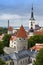 View of Old city\'s roofs. Tallinn. Estonia