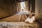 A view of an old dirty backyard of street house with cat sitting on stone wall in old town, morocco