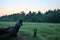 View of the old fence, green meadow and forest at sunrise.