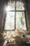 view of old historic wooden closed window of old building in forest with flower inside room and sunbeams