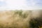 View from old Hohnstein castle down on river Elbe in Saxony