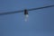 View of an old incandescent lamp, wired outside on the street with blue sky background