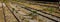 view of old train station tracks covered with grass. Tempio Pausania, Sardinia