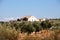 View of olive groves with a finca to the rear, Ubeda, Spain.