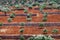 View of an olive plantation on the mountain of Crete